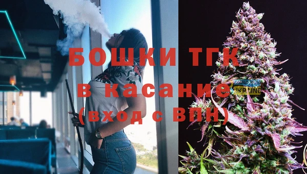 винт Бородино