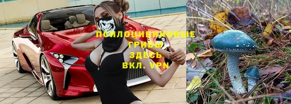 винт Бородино