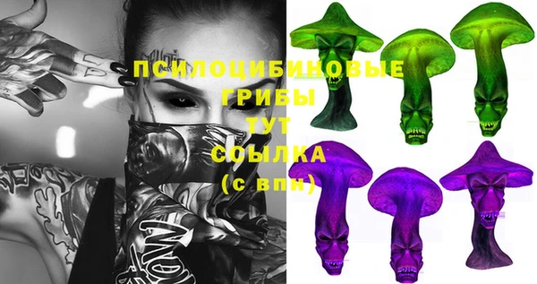 герыч Богородск