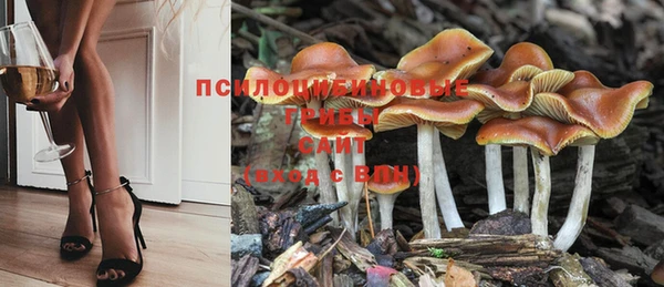 амфетамин Богданович