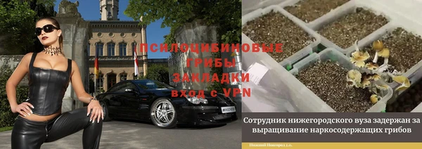 винт Бородино