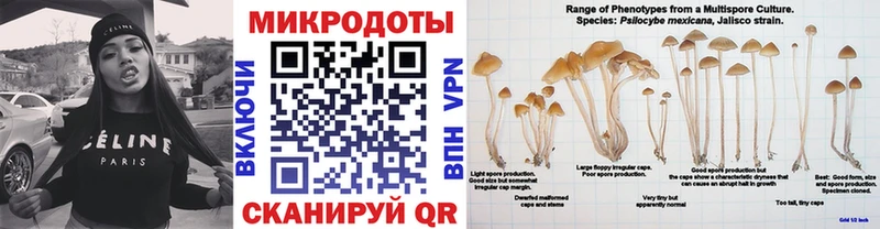 Галлюциногенные грибы мицелий Дрезна