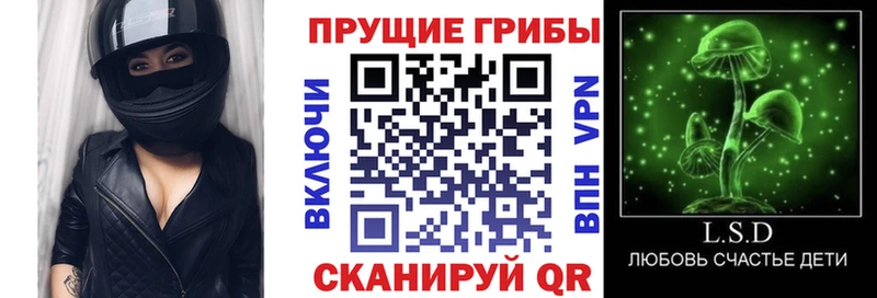 Псилоцибиновые грибы прущие грибы Дрезна